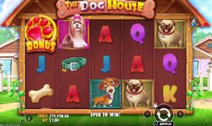 The Dog House